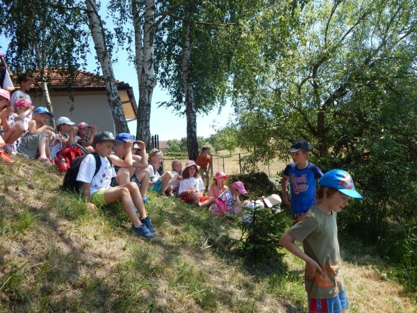 dscn0908_20150704_1188387478