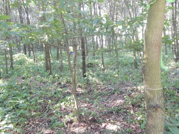 dscn1246_20150707_1099540458