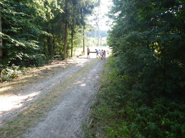 dscn1260_20150708_1270706039