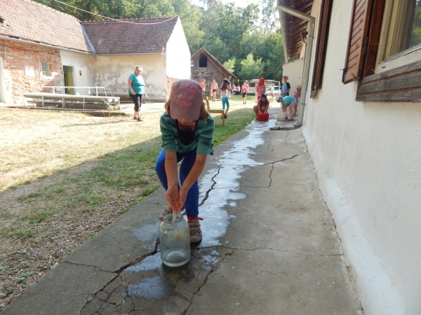 dscn1290_20150708_1372819096