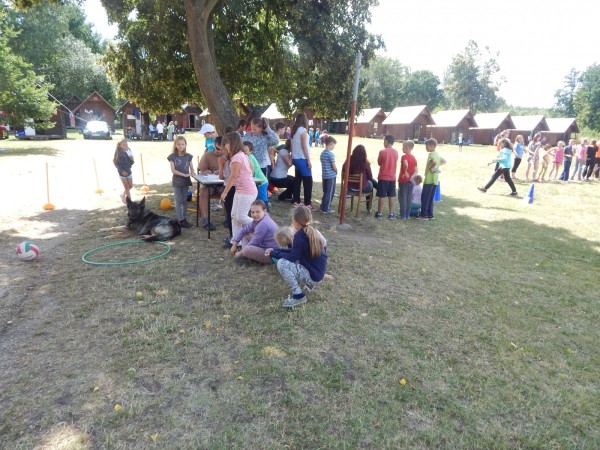 dscn1382_20150709_1356895241