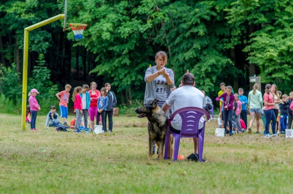 dsc_2127_20160705_1055376197