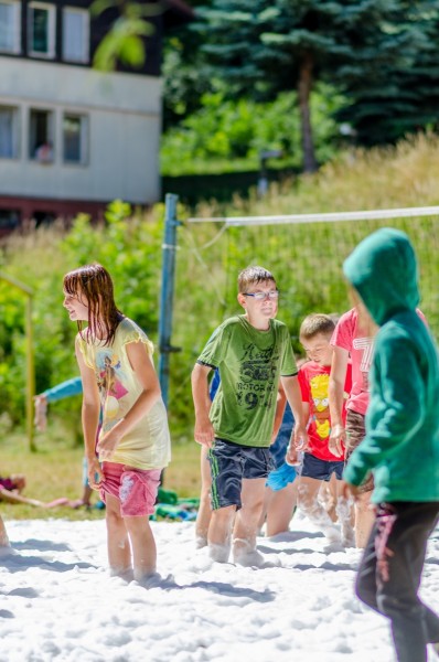 dsc_2608_20160709_1322443105