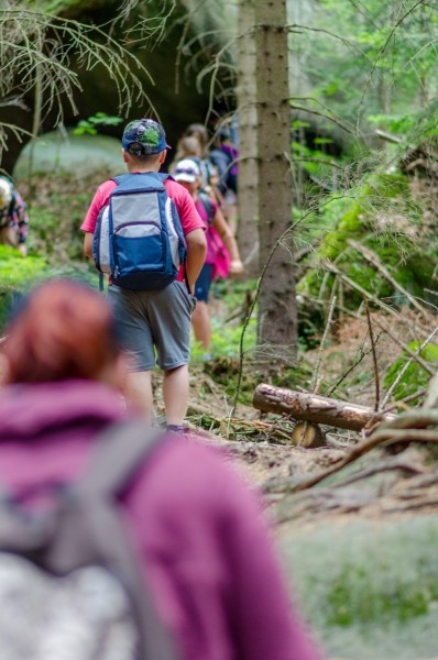 dsc_2662_20160709_1850034396