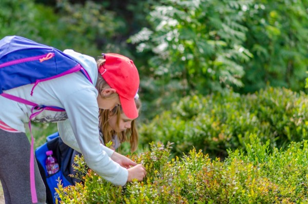 dsc_2758_20160709_1460217642