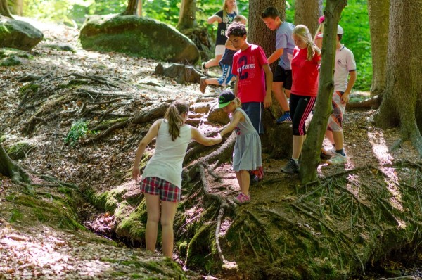 dsc_2978_20160718_1608099041