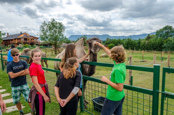 dsc_3019_20160718_1073984355