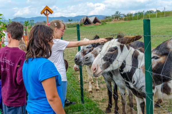 dsc_3026_20160718_1643427598