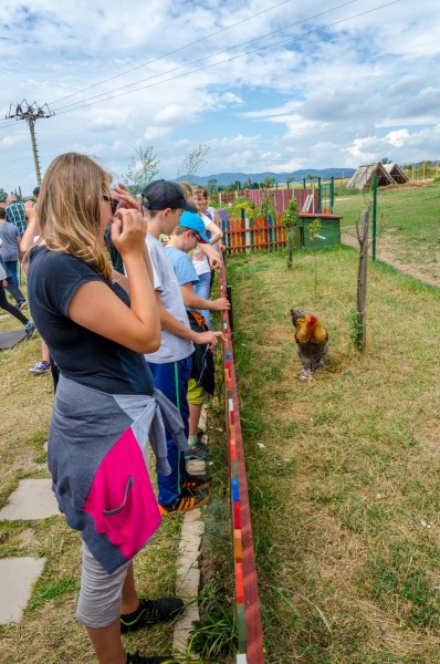 dsc_3030_20160718_2070928895