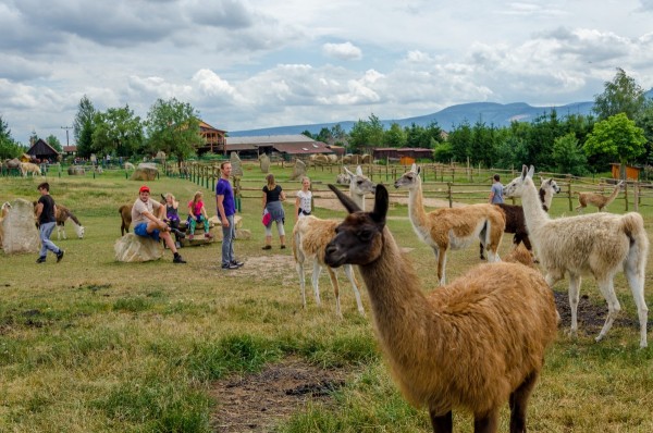 dsc_3032_20160718_1654542034