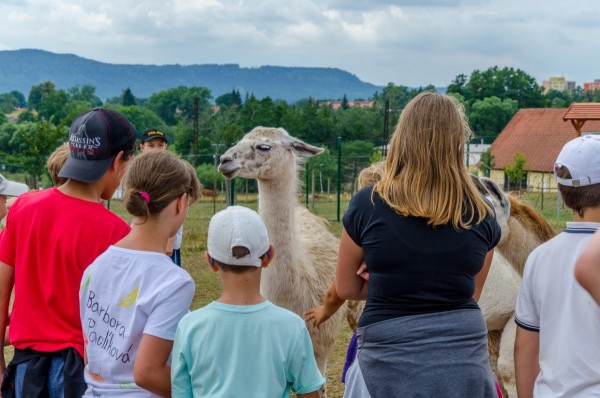 dsc_3034_20160718_1828840754