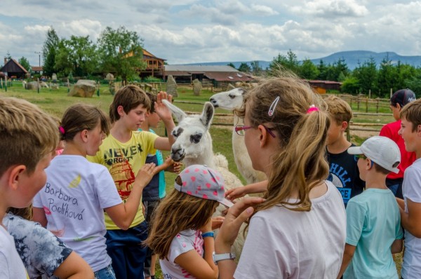 dsc_3036_20160718_1104402938