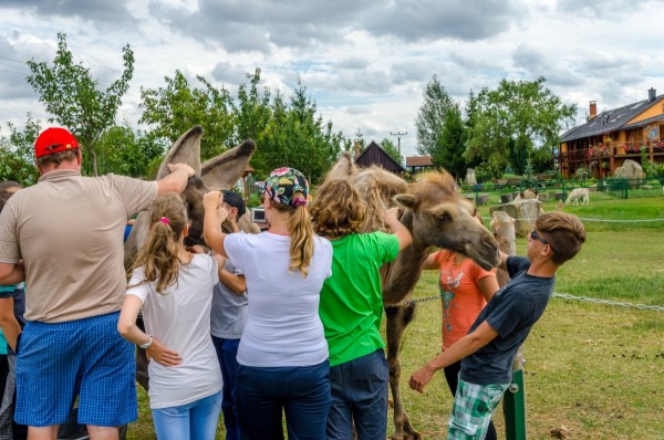 dsc_3040_20160718_1804745791