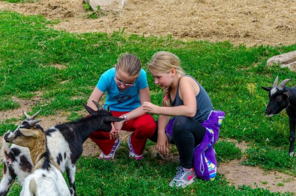 dsc_3042_20160718_1740201069