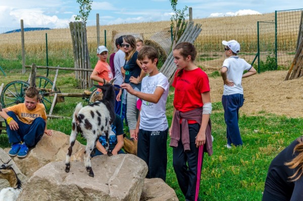 dsc_3043_20160718_1749411081