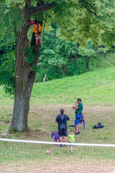 dsc_3110_20160718_1802109737