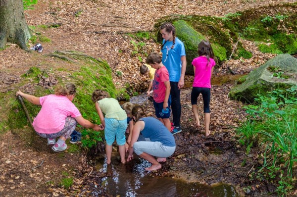 dsc_3115_20160718_1190414375