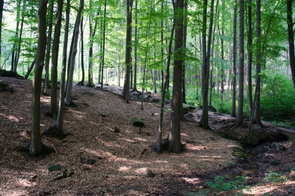 dsc_9673_20160104_1428090515