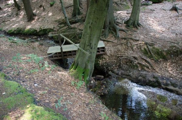 dsc_9675_20160104_1039624287