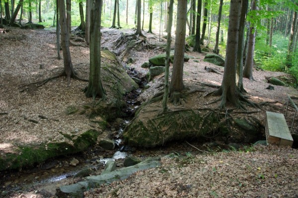 dsc_9677_20160104_1499327772