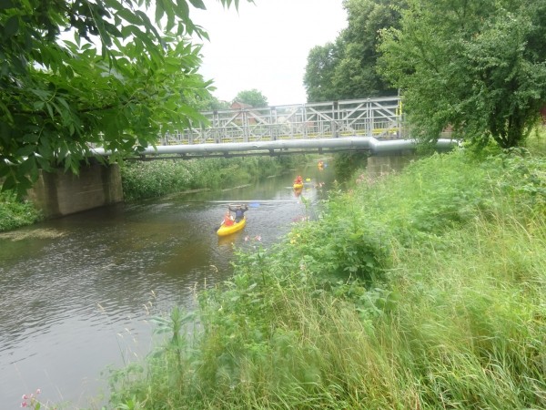 dsc01754_20170712_1500645753