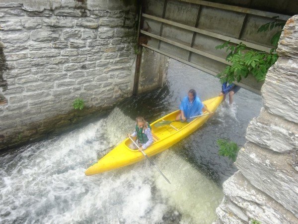 dsc01829_20170712_2095058969