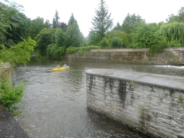 dsc01830_20170712_2034730574