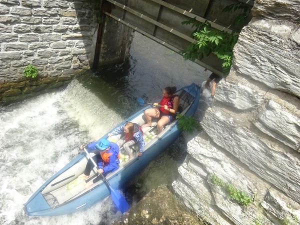 dsc01831_20170712_1940344077