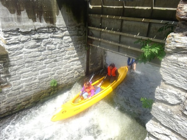 dsc01836_20170712_1985457562