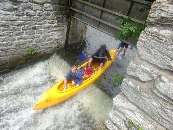 dsc01837_20170712_2053308134