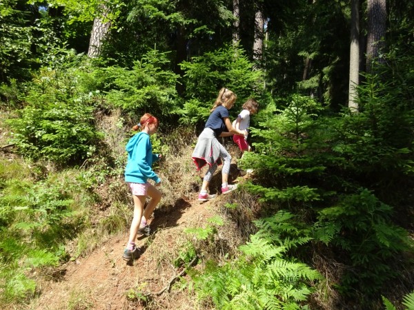 dsc01874_20170712_1150185681