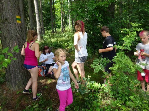 dsc01887_20170712_1294021003