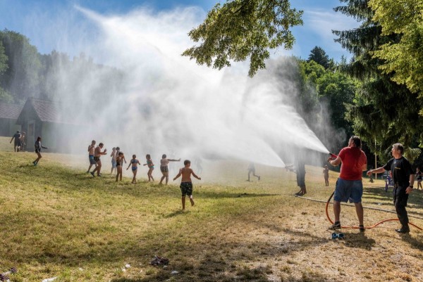 dsc_0019_20180709_1283389399