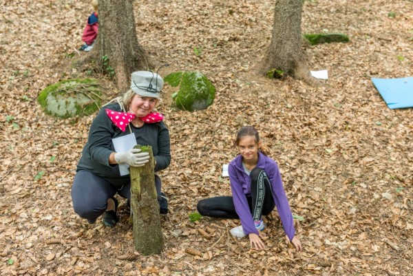 dsc_8249_20180704_1411656255