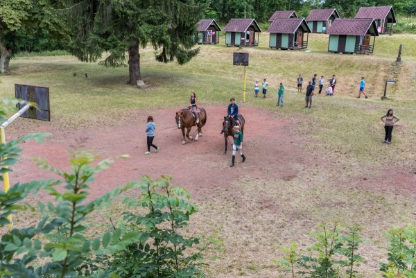 dsc_8537_20180705_1518317287