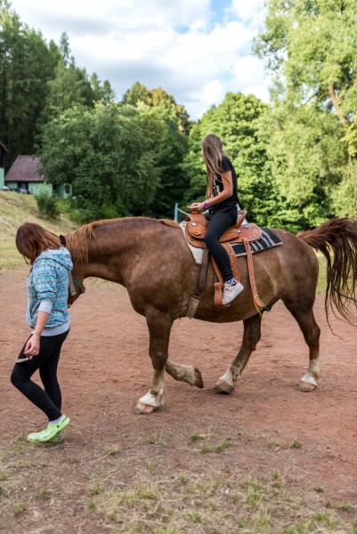 dsc_8582_20180705_1347111062