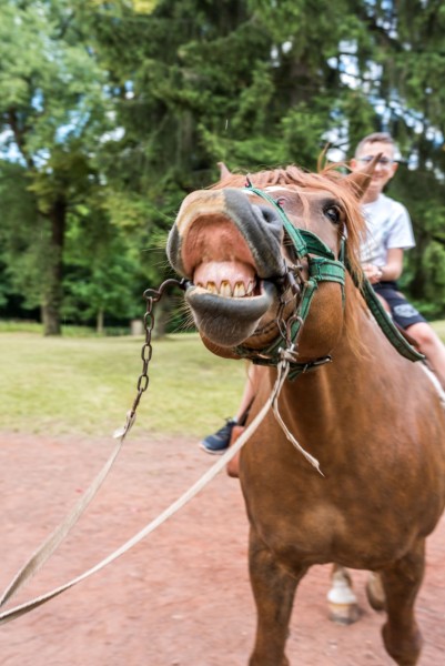 dsc_8628_20180705_1534678038