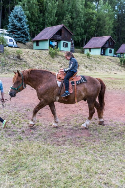 dsc_8636_20180705_1929314339