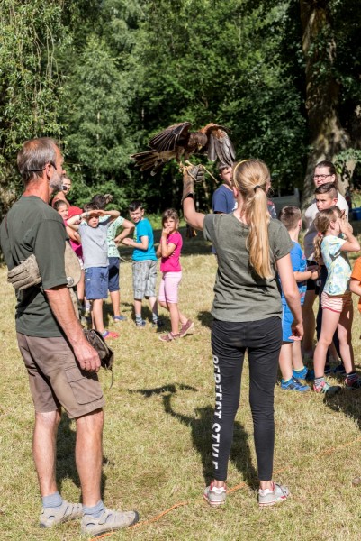 dsc_9090_20180705_1736616570