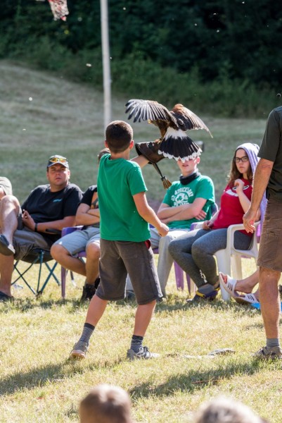 dsc_9100_20180705_2045007862