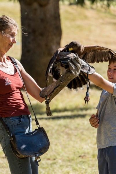 dsc_9105_20180705_1789743587