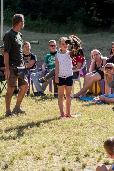 dsc_9113_20180705_1263371072