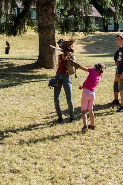 dsc_9121_20180705_1199735828