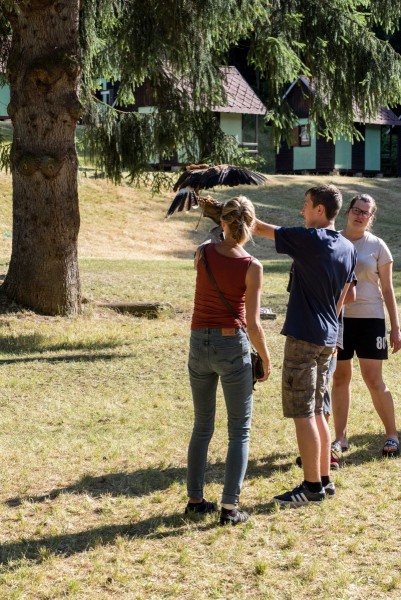 dsc_9134_20180705_1501205595