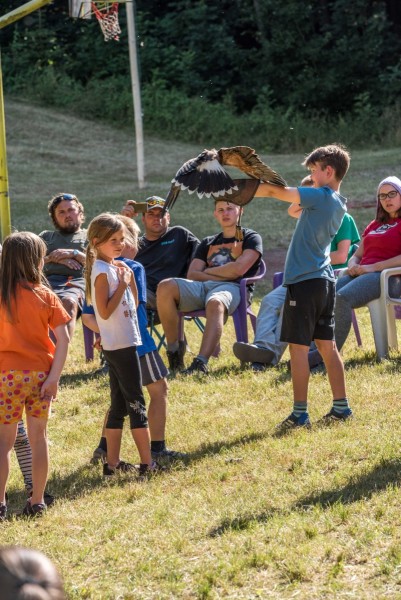 dsc_9144_20180705_1629471546