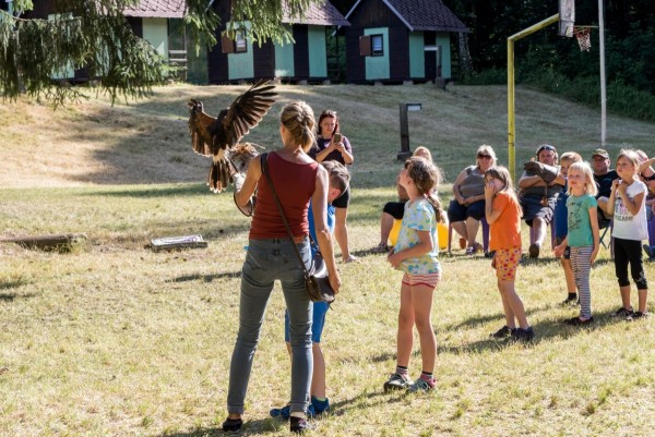 dsc_9155_20180705_1155478727