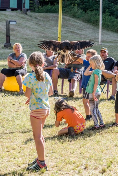 dsc_9160_20180705_2023188199