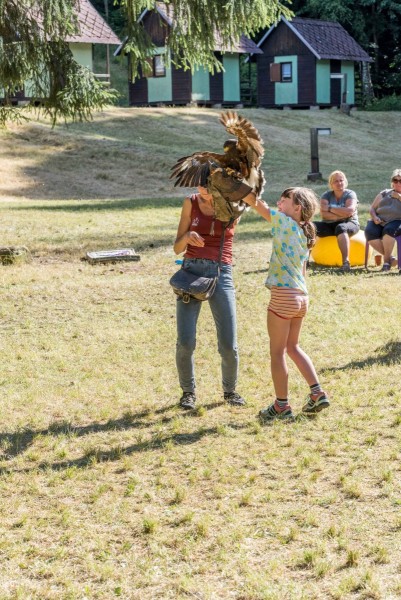 dsc_9168_20180705_1793532847