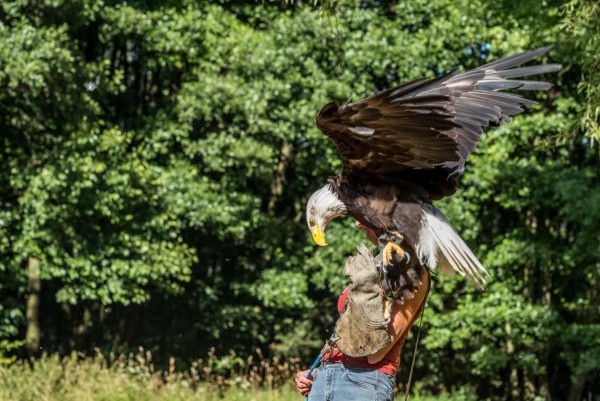 dsc_9269_20180705_1595438411