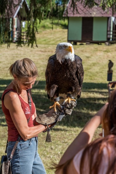 dsc_9285_20180705_1051725745